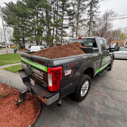 WhatsApp Image 2026-03-16 at 13.05.46 (1)