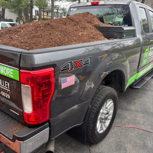 WhatsApp Image 2026-03-16 at 13.05.46 (2)