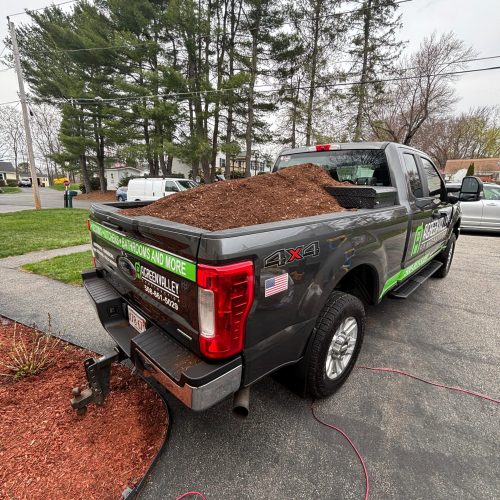 WhatsApp Image 2026-03-16 at 13.05.46