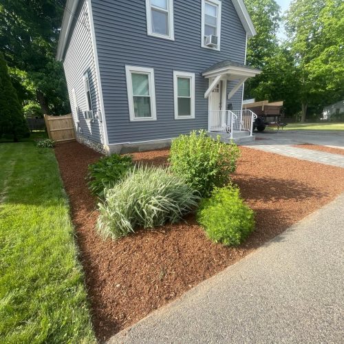 WhatsApp Image 2026-03-16 at 13.06.58