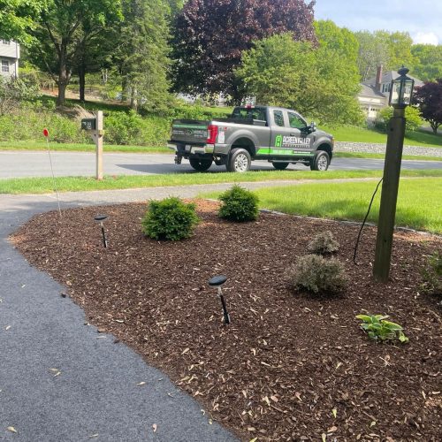 WhatsApp Image 2026-03-16 at 13.06.59